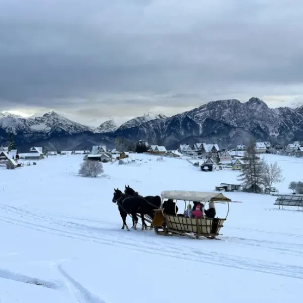 Kulig z poczestunkiem i pohodniami - piekny widok na tatry